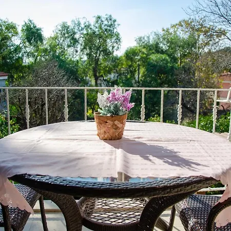 ホテル Pervin Hanim Konagi アラカティ